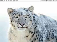 Active Screen Corner Customization