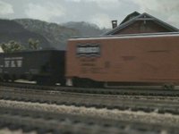 Poppies Train