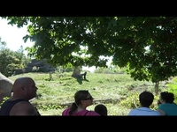 Detroit Zoo Visit