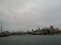 sea lions 15 seconds in..