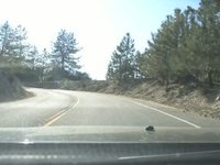 Angeles Crest Highway