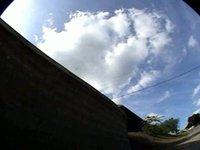 Our Summer bails