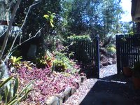 Garden Walk (Nano Test: Outdoors Sunlight)