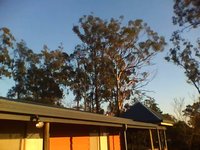 Outdoors Morning - into sun (Nano Test)