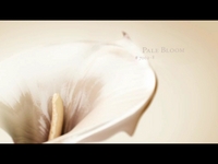 VALSPAR Spot
