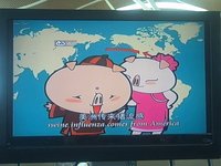 Swine Influenza Comes From America!