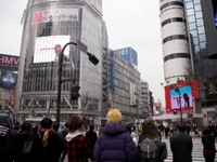 My Tokyo Trip
