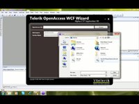 Telerik OpenAccess WCF Wizard: How-to Video #5: ATOMPub Property Selection