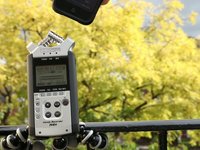 Zoom H4n windscreen tests