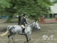 Sophie - Upperville 1