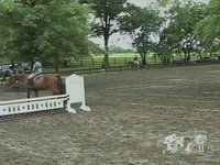 Sophie - Upperville 2