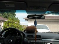 In Car Camera Mount Test