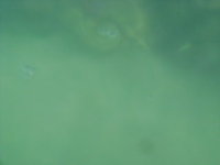 Underwater