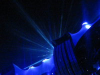 pretty lights