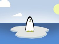 Penguin: And The Fly