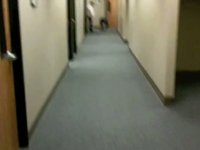 This is my Boss.