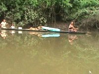 Jungle of PERU