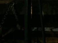 Sebastian's Voodoo