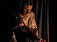 MIDI HARP - Falling Night Harp by Arnaud Roy - HARPE MIDI