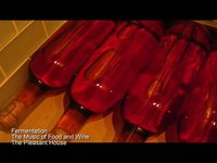 Fermentation Music