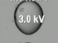 Bouncing Water Drops