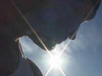 Shine In L.A. Part 2