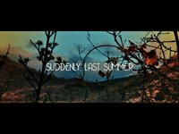 Suddenly, last summer