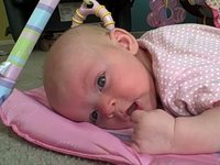 Avonlea Talks