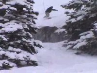 LDBsnow - Deadicated