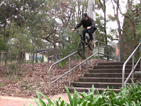 Mitch