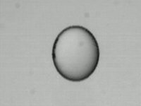 Bouncing Liquid Drop