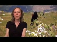 Big C Project - Changing Views