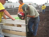 Mutton Busting Three - reloaded