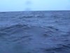 RIBCLUB.RU