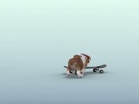 Petz Trailer 2009
