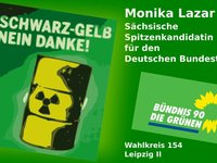 Jetzt geht es ums Ganze! - Schwarz-Gelb Nein Danke!