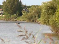 Severn Bore Sept 2009