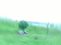 ONAR3, reducir ,reusar ,restaurar y reciclar