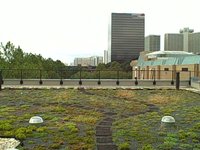 The Green Roof at the Southface Energy Institute Eco-Office
