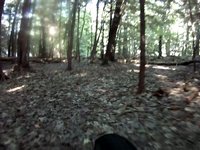 Salmon Falls Trail in Hollis, ME