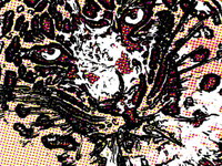 comic tiger 2