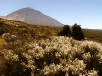 Postales del Teide