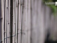 Panasonic LUMIX GF1 with Leica Noctilux F1.0