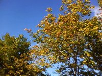 A Sunny Sunday