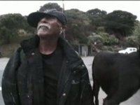 Dream Doc & Hitchin Doc - just a taste