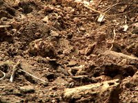 Dust on the Ground - Mountain bike freeride