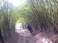 Voir la vidéo Voir la vidéo