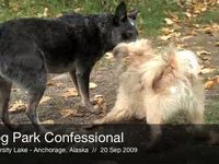 Dog Park Confessional Tweetup