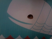An important announcement from the Twitter whale