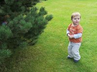Henry in Cropston